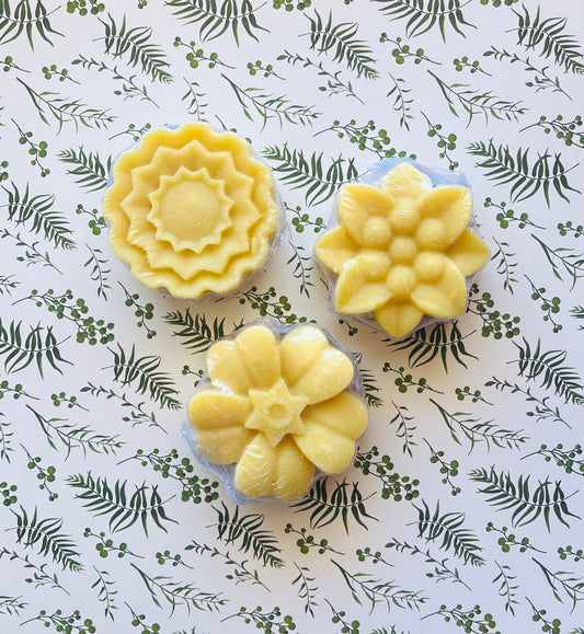 Shampoo Bar