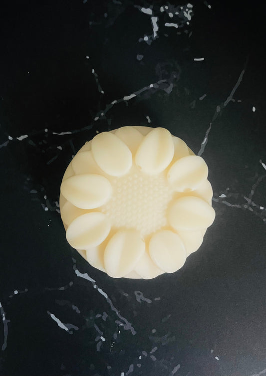 Citrus Dish Soap Bar